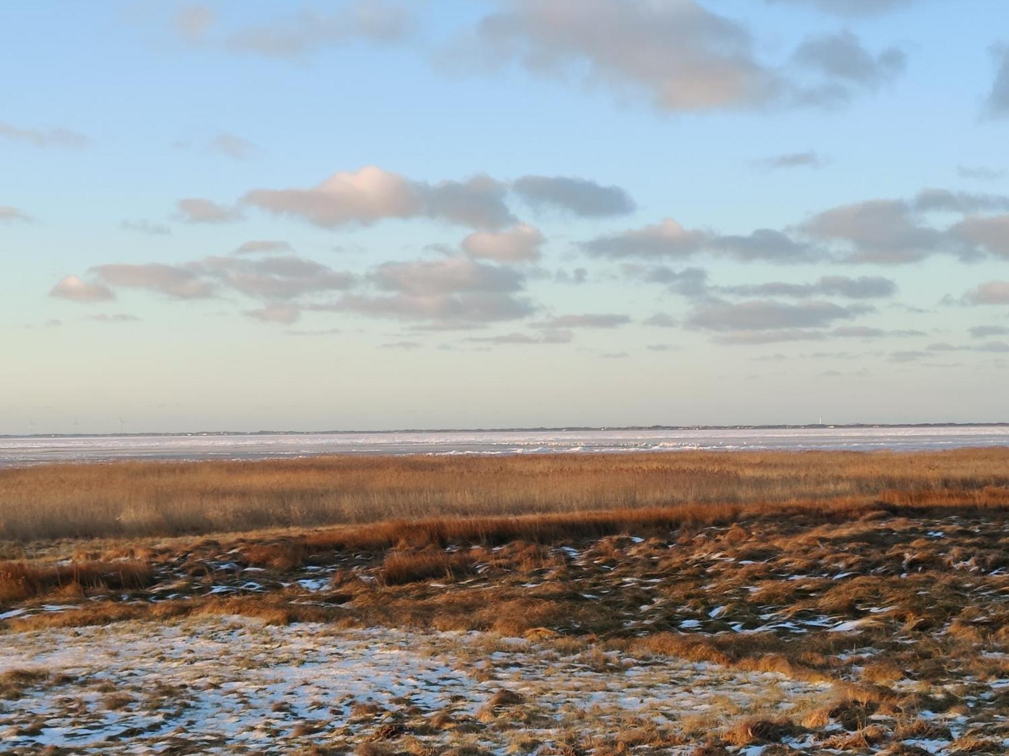 Villa-Amby Ringkøbing Exteriér fotografie